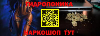 крисы Заволжье