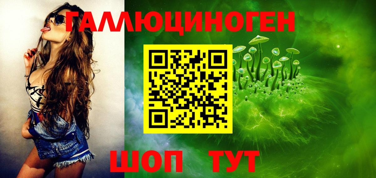 Мценск  Галлюциногенные грибы прущие грибы  Вход с VPN 